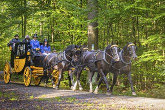 Presentation and route ride, all carriages in stylish tension, popular sporting event over approx.