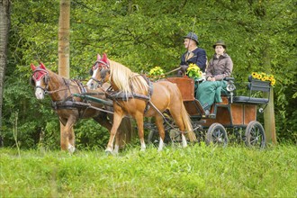 Presentation and route ride, all carriages in stylish tension, popular sporting event over approx.