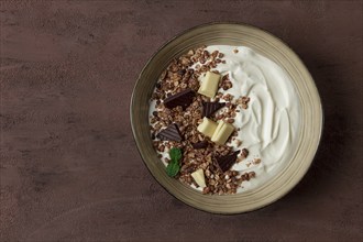 Yogurt with chocolate muesli, breakfast, close-up, fork on top, no people