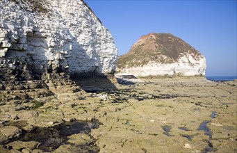 Coastal scenery at Flamborough Head, Yorkshire, England, United Kingdom, Europe