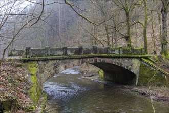 Polenztal in Saxon Switzerland, Hohnstein, Saxony, Germany, Europe