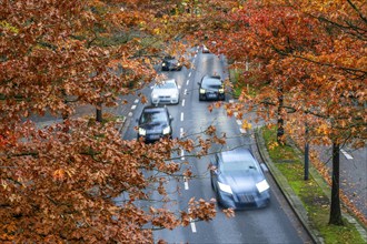 Autumn, road traffic, inner-city, trees in autumnal colours line a 4-lane road, symbolic image,