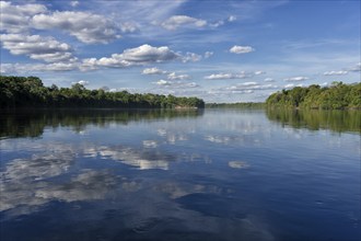 Sky and trees reflecting in the Juruena river, Alta Floresta, Amazon, Brazil, South America