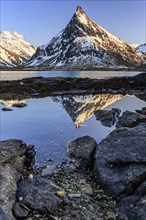 Evening light over steep mountains, reflection in fjord, winter, Moskenesoya, Lofoten, Norway,