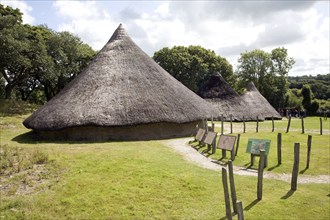 Castell Henllys iron age celtic village houses Pembrokeshire Wales, United Kingdom, Europe