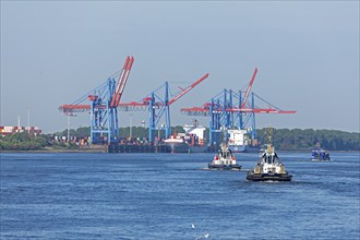 Tugboat, Container Terminal Burchardkai, Norderelbe, Hamburg, Germany, Europe