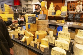 Interior of cheesemonger specialist cheese shop, Mons cheesemongers, East Dulwich, London, England,