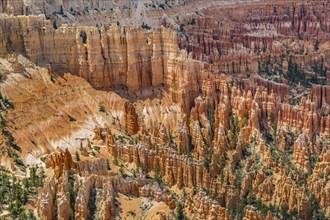 Hoodoos at Brice Point Overlook in Bryce Canyon National Park, Utah