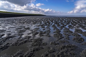 The Wadden Sea, East Frisia, between Bensersiel and Neuharlingersiel, at low tide, seabed