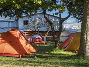 Campground of hostel Bellavista, orange and yellow tents below trees, Puerto Rio Tranquilo,