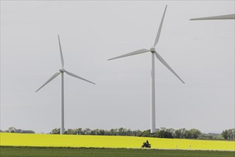 A motorbike on a country road stands out in front of a rapeseed field and wind turbines in