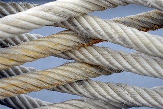 Thick ship's rope, close-up, North Sea, Norddeich, Lower Saxony, Germany, Europe