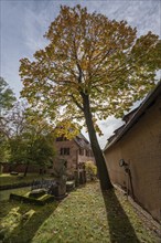 Cemetery with autumn tree at St. Nicholas and St. Ulrich Church, Kirchenberg 15,