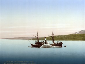 Whaling scenes on Skaaro. The Nancy Grey with a whale, Norway, c. 1895, Historical, digitally