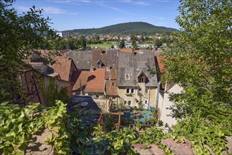 Old wall with ivy (Hedera helix) and view of the roofs and landscape from the Schlossgasse in