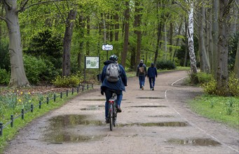 Walkers and cyclists in the Großer Tiergarten, Berlin, Germany, Europe