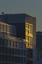 DOCK office tower, facade in the evening light, architect Jo Coenen, Unterbilk, Kaistraße 2 in the