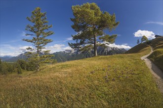 Panorama from Hoher Kranzberg, 1397m to the cloudy Karwendel Mountains, Werdenfelser Land, Upper