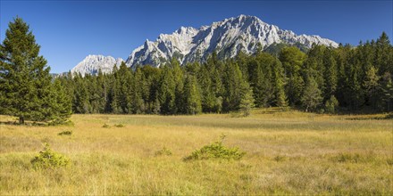 Moorland near Lautersee, near Mittenwald, with the Karwendel mountains behind, Werdenfelser Land,