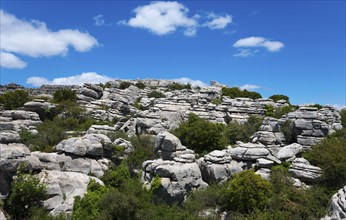 Barren rock formations under a bright blue sky with white clouds and green vegetation, karst