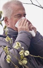 Pollen allergy, willow pollen, March, Germany, Europe