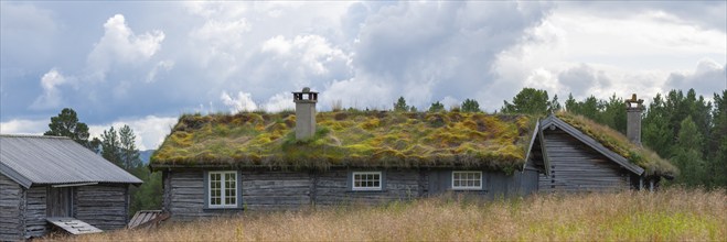 Wooden house, natural roof, grass roof, green roof, log house, natural log, mountain hut, Savalen,