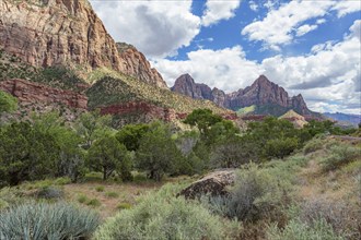 Rock formations in the rugged mountains of Zion National Park, Utah