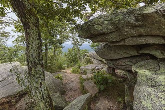 Rock formations along the Bald Rock Trail in Cheaha State Park, Alabama, USA, North America