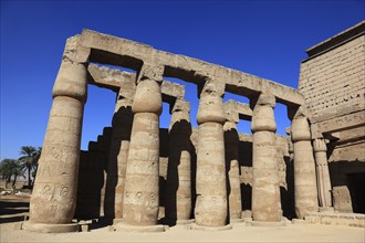 Temple of Luxor, colonnade, Africa, Upper Egypt, UNESCO World Heritage Site