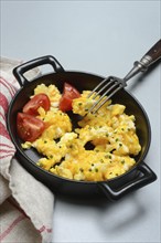 Scrambled eggs with tomatoes in a pan