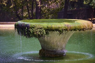 A moss-covered fountain in a green expanse of water surrounded by trees with a relaxed atmosphere,