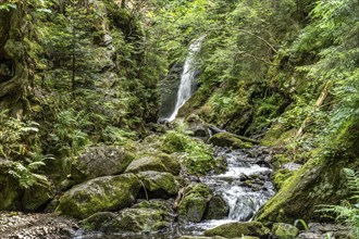 Waterfall Großer Ravennafall in the Ravenna Gorge near Breitnau, Black Forest, Baden-Württemberg,