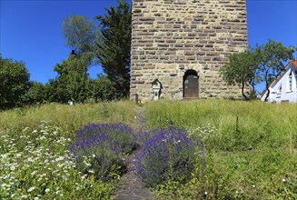 Lavender blossom (Lavandula angustifolia), at the foot of the Römerturm, Oberstadtturm, Oberer