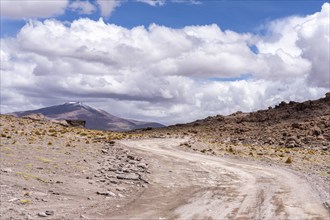 Andean Fauna National Reserve, Eduardo Avora, Altiplano, Bolivia, South America