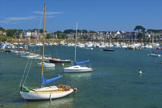 Harbour with many boats, Ploumanach, Cote De Granit Rose, Departement Cotes-d Armor, Bretange,