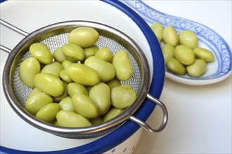 Edamame, unripe cooked soya beans in sieve, Glycine max