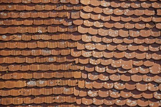 Plain tile roof panels, Germany, Europe