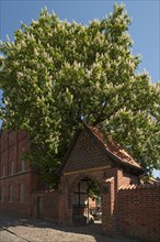 Entrance to the Holy Spirit Hospital, founded in the 13th century, Wismar, Mecklenburg-Vorpommern,