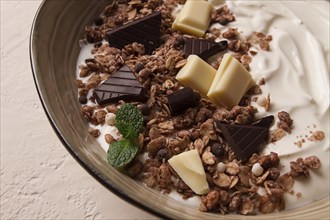 Yogurt with chocolate muesli, breakfast, close-up, fork on top, no people