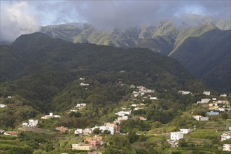 Green hills with scattered houses against a background of misty mountains, Los Sauces, La Palma,