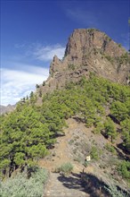 Rough rock formation with pine trees and clear sky along a hiking trail, Calder de Taburiente,