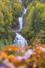 Impressive waterfall, surrounded by an autumnal forest, with bright leaves in the foreground,