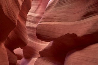 Fascinating sandstone formations in Antelpoe Canyon, showing soft, wave-like structures, Antelope