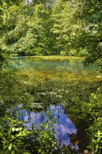 Gönninger Seen, lime tufa nature trail, idyll, nature, at the foot of the Swabian Alb, Gönningen