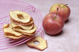 Dried apple rings and apples, dried fruit