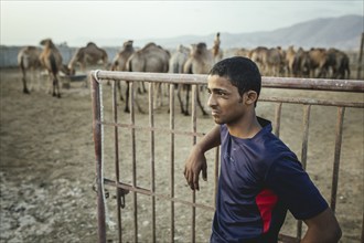 Thamer, son of camel breeder Said Shafari, Salalah camel farm, Dhofar, Oman, Asia