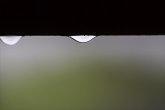 Raindrops hanging on the window frame, close-up, symbol photo, rainy summer, rainy weather, blur,