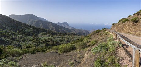 Typical landscape with road, Barranco, La Gomera, Canary Islands, Spain, Europe