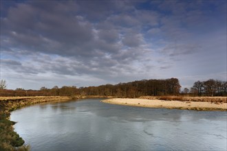 Typical biotopes of the river landscape, gravel banks as habitat for rare birds (e.g. little ringed