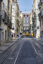 Funicular railway, yellow tram, Elevador da Bica, national monument, old residential buildings,